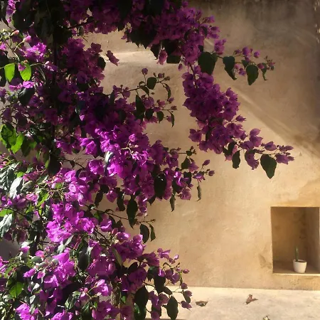 Sobre Ribas 2|12 شقة كويمبرا